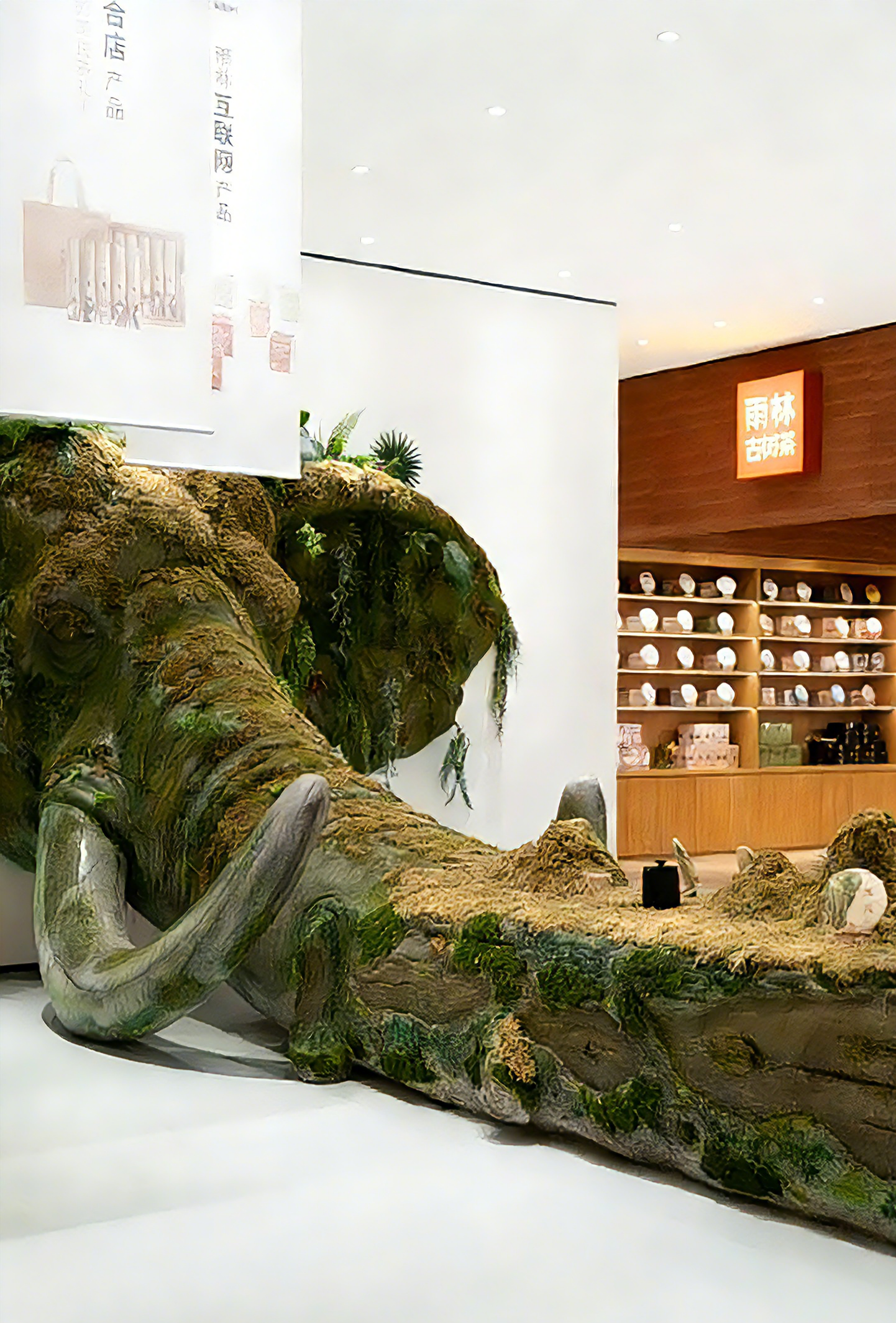 图片去水印 (5).png