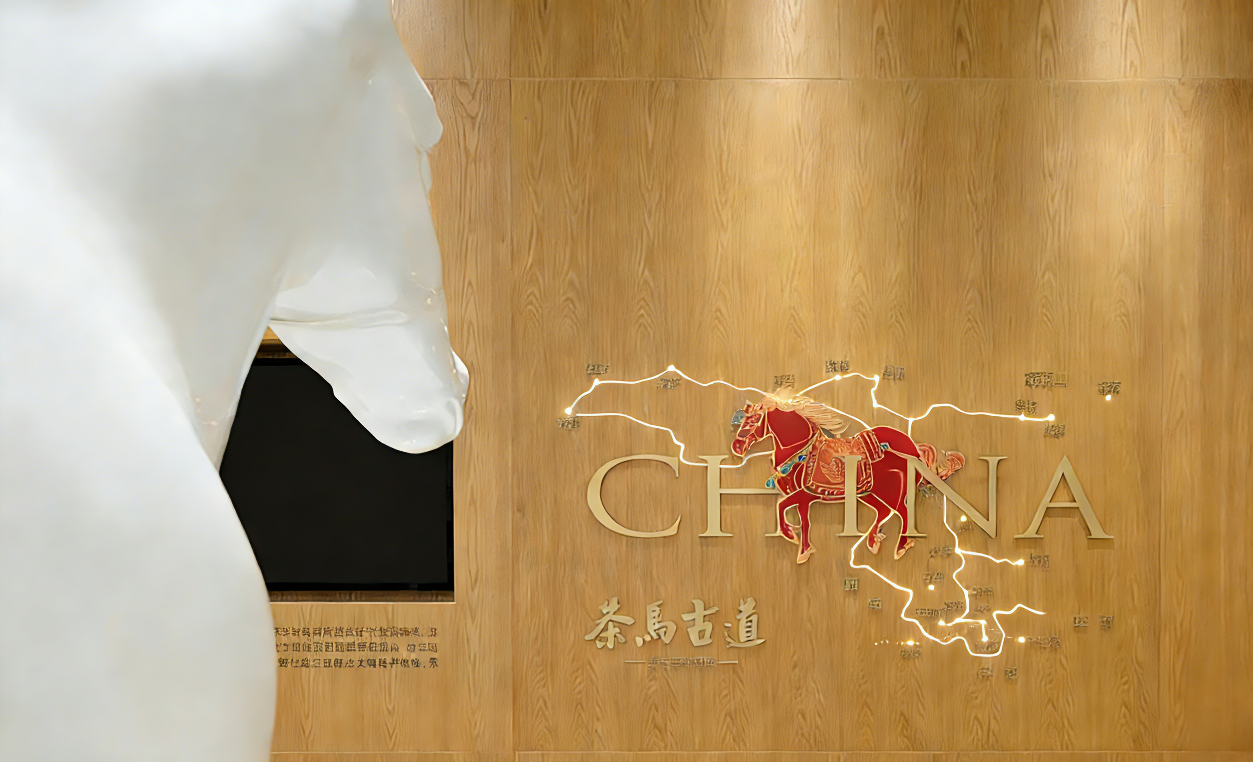 图片去水印 (3).png